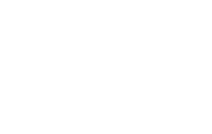 VIP White Logo Low Res Compliant Leslie Kight